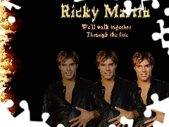 Ricky Martin, Wokalista