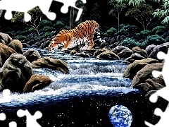 Rzeka, William Schimmel, Tygrys
