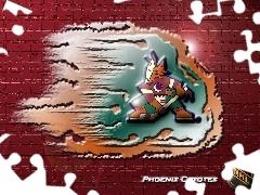 Phoenix Coyotes, NHL, Logo, Drużyny