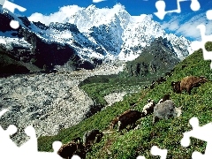 Góry, Pastwisko, Tybet