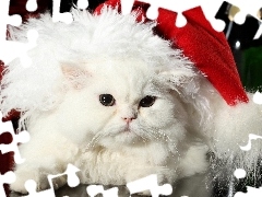 Czapka, Świąteczna, Biały, Kot