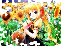 Słoneczniki, Anime