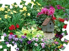 Kwiatki, Kolorowe, Ogród, Budka, Różne