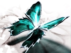 Zielony, Motyl, Piękny