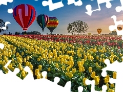 Balony, Kolorowe, Plantacja, Tulipanów