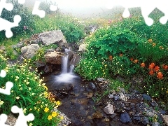 Kwiaty, Kamienia, Wodospad, Strumyk