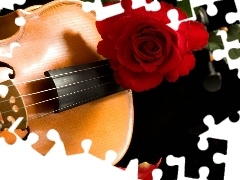 Róża, Czerwona, Instrument, Muzyczny