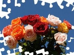 Kolorowych, Róż, Bukiet