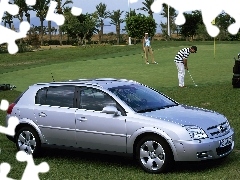 Golf, Trawa, Opel Signum