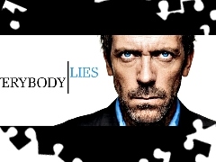 Lies, Hugh Lauriego, Everybody