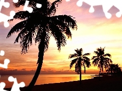 Zachód Słońca, Jezioro, Palmy