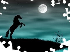 Ksieżyc, Noc, Koń