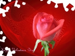 Róża, Day, Happy, Serce, Valentines