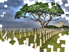 Drzewo, Krzyże, Cmentarz