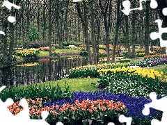 Kwiaty, Strumyk, Park