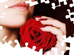 Dłoń, Róża, Kobieta, Czerwona