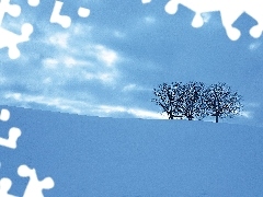 Zaspy, Mróz, Śnieg, Drzewa
