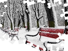 Zima, Ławki, Park, Drzewa