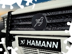 Hamann, Karbon, Logo