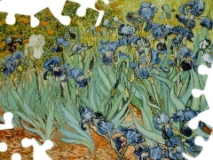 Vincent van Gogh, Obraz, Irysy