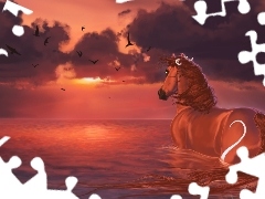 Morze, Koń, Zachód, Słońca