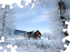 Drewniany, Śnieg, Zima, Dom, Drzewa