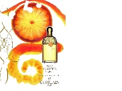 perfumy, flakon, Guerlain, pomarańcz