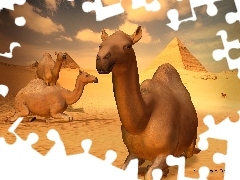 3D, Piramidy, Wielbłądy, Pustynia