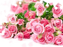 Bukiet, Róż, Romantyczny