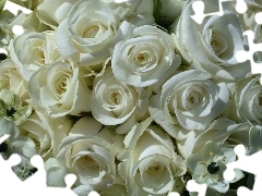 Białych, Róż, Bukiet