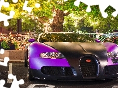 Bugatti Veyron, Fioletowy
