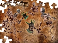 Szkielety, The Elder Scrolls III: Morrowind