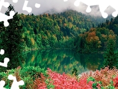 Jezioro, Kwiaty, Lasy
