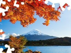 Drzewa, Lasy, Fudżi, Japonia, Jezioro