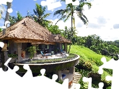 Hotel, Bali, Indonezja, Palmy, Wyspa