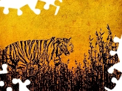 Rysunek, Tygrys