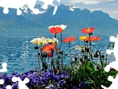 Kwiaty, Jezioro, Niebo, Góry