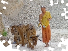 Monk, Kamieniołom, Tygrysy