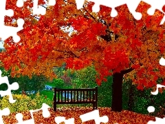 Ławka, Liście, Drzewo, Jesień, Kolorowe