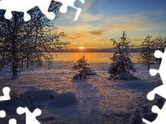 Zima, Choinki, Zachód słońca, Drzewa