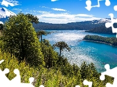 Chile, Góry, Jezioro, Drzewa