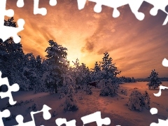 Drzewa, Las, Zima, Zachód słońca, Śnieg