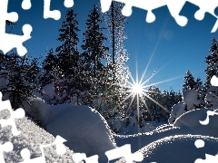 Promienie słońca, Śnieg, Zima, Drzewa