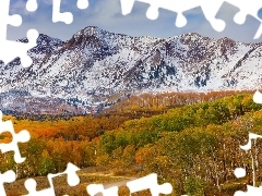 Drzewa, Góry, Lasy, Przełęcz Ohio Pass, Stany Zjednoczone, Stan Kolorado, Droga, Jesień