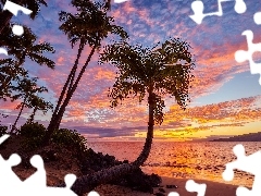 Morze, Palmy, Hawaje, Zachód słońca