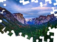 Góry, Kalifornia, Drzewa, Park Narodowy Yosemite, Stany Zjednoczone, Las, Mgła