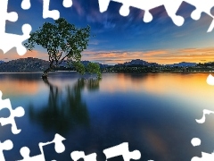 Drzewo, Zachód słońca, Nowa Zelandia, Góry, Jezioro Wanaka