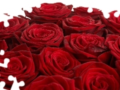Czerwonych, Róż, Główki