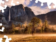 Mgła, Drzewa, Skały, Stany Zjednoczone, Góry, Stan Kalifornia, Park Narodowy Yosemite