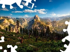 Góry, Park Narodowy Yosemite, Stany Zjednoczone, Drzewo, Stan Kalifornia